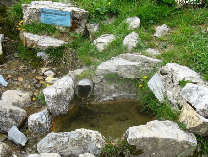 Source des Chaumailloux (aménagé - OK Août 2022)