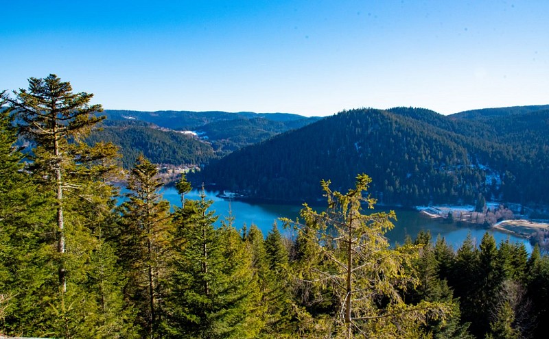 Le point de vue de pique-nique morand - viewpoint