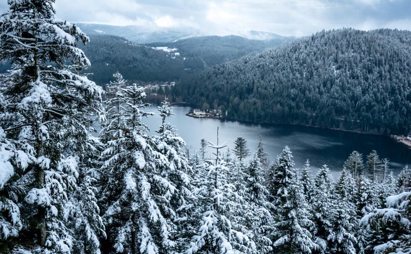 Le point de vue Morand