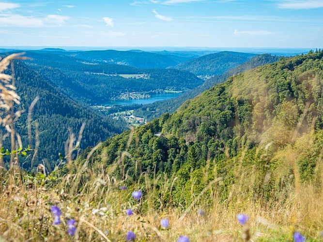 PICKNICKTISCHE - ROUTE DES CRÊTES