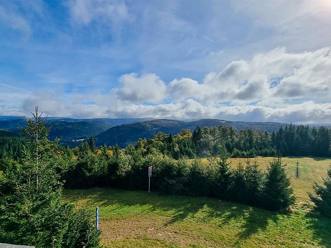 LA TÊTE DE GROUVELIN - VIEWPOINT