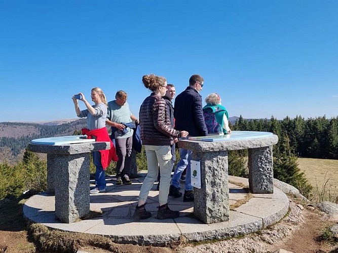 LA TÊTE DE GROUVELIN - VIEWPOINT