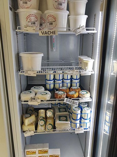 301823092_408893691343100_6606437088585793834_n