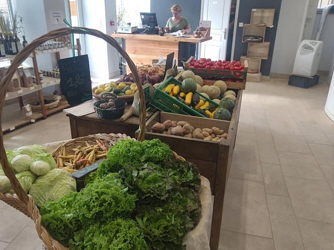 301587470_408893861343083_473671467550477588_n