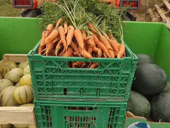 299789343_402365711995898_3650465362921963444_n