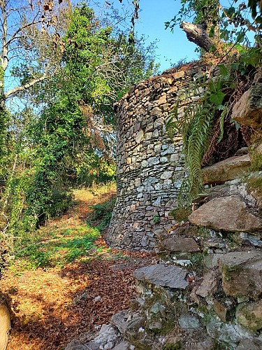 Visite guidée du parc du château de la Colinière, sur les traces de Chateauceaux