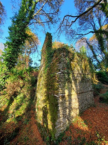 Visite guidée du parc du château de la Colinière, sur les traces de Chateauceaux