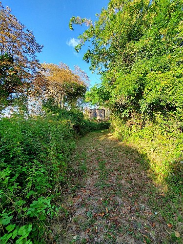 Visite guidée du parc du château de la Colinière, sur les traces de Chateauceaux
