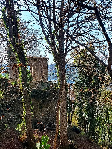 Visite guidée du parc du château de la Colinière, sur les traces de Chateauceaux