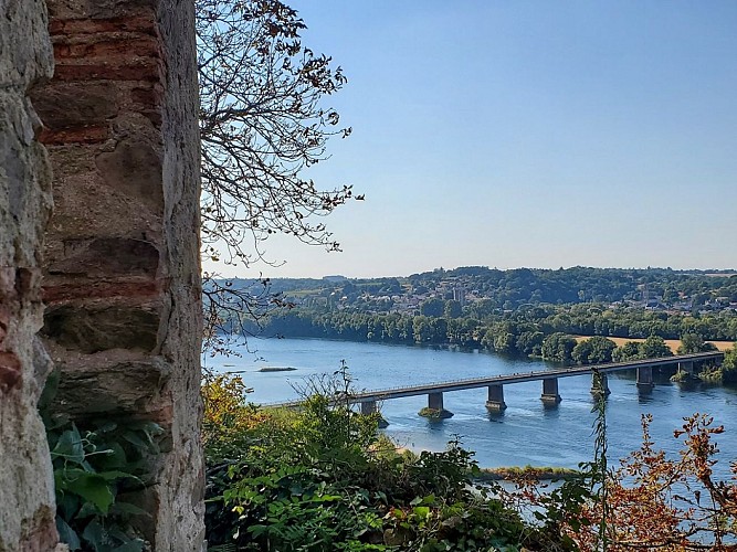 Visite guidée du parc du château de la Colinière, sur les traces de Chateauceaux
