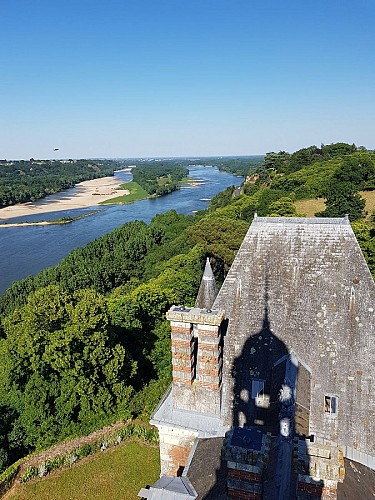 Visite guidée du parc du château de la Colinière, sur les traces de Chateauceaux