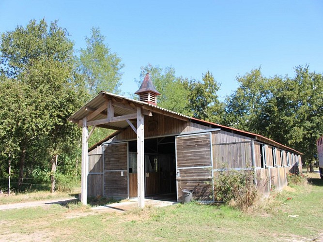 Centre equestre1