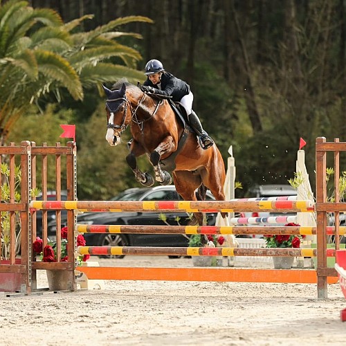 491921143_1239989634796176_7940147301388074824_n