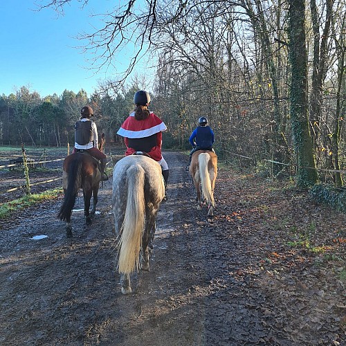 491830252_1233707928757680_4047383266720485868_n