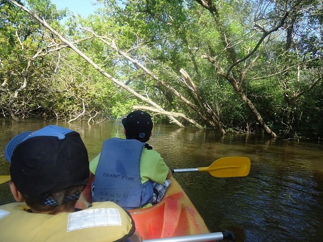Location de bateau Canoë Kayak Courant d'Eyre Biganos