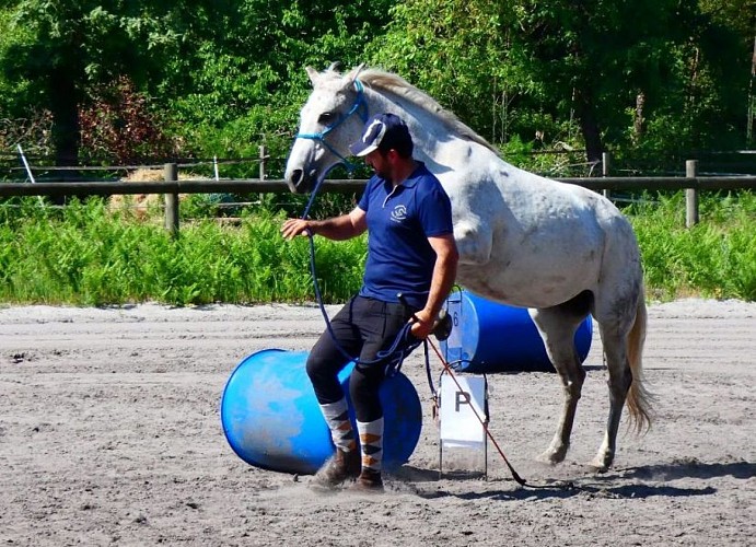 499578404_1163956292197809_1679222885709574489_n (1)