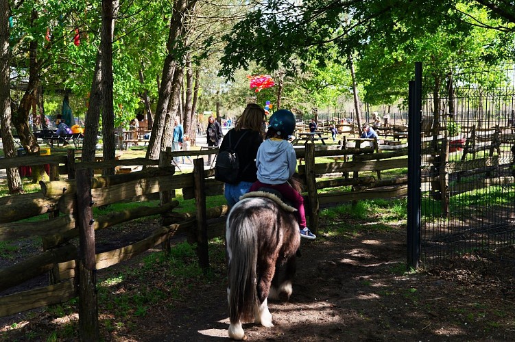 481058440_627375803229722_1904913999226103338_n