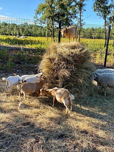 481209589_622473377053298_2707555523361839730_n