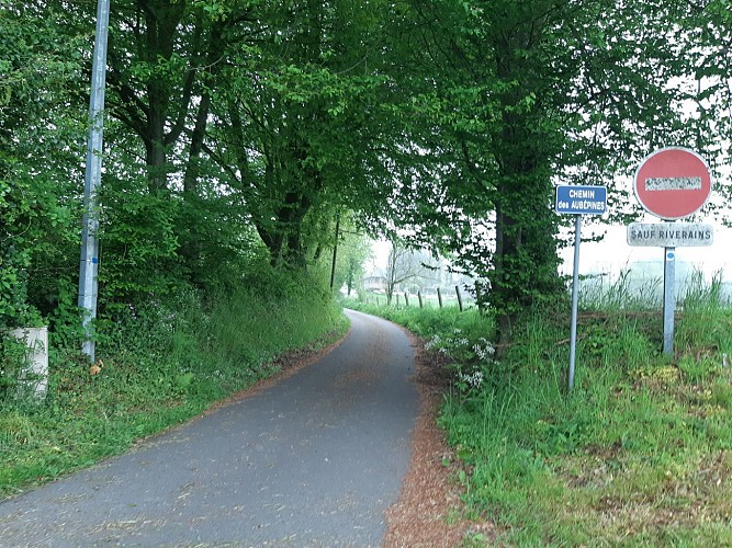 En chemin vers le Bois Guibert