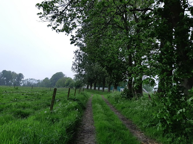 En chemin vers le Bois Guibert