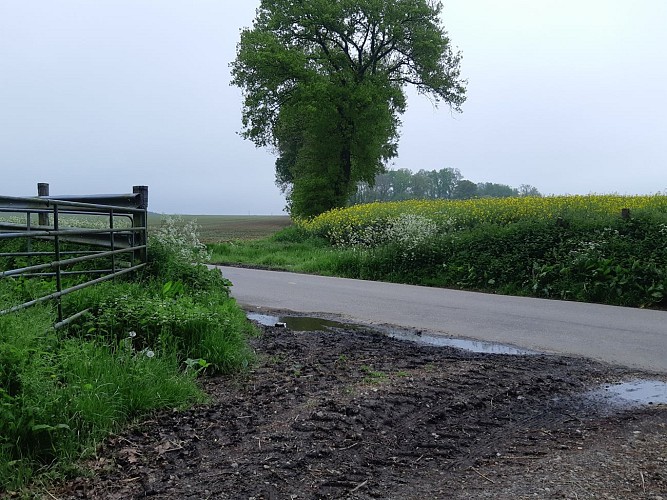 En chemin vers le Bois Guibert