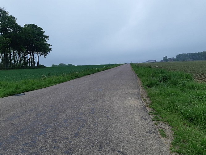 En chemin vers le Bois Guibert