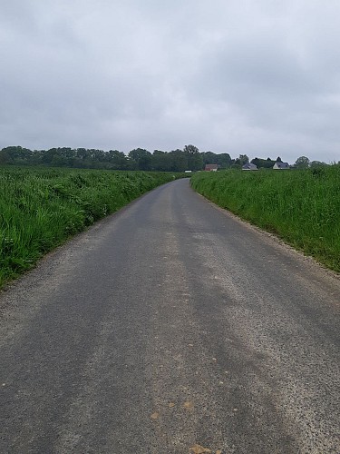 Chemin de Hongrie aux mares entre les champs