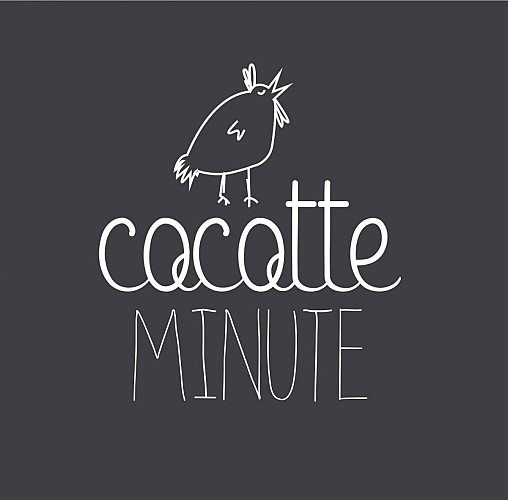 cocotte minute