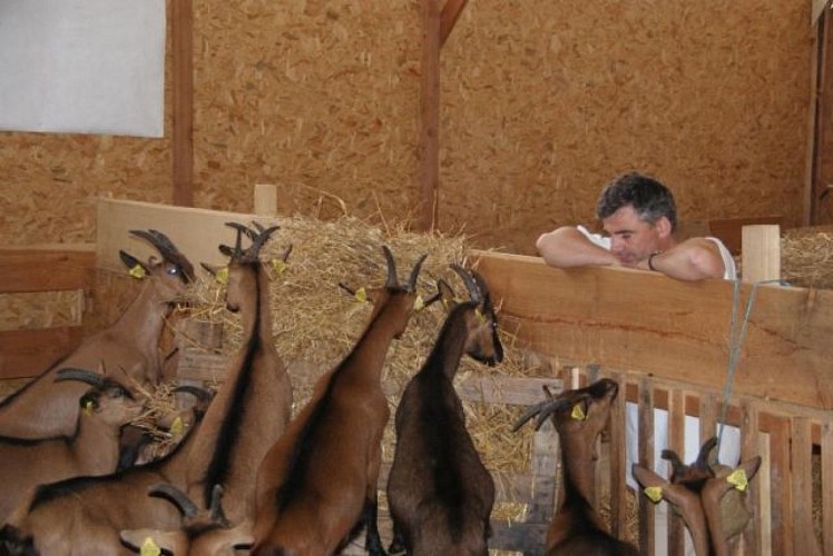 Ferme de Fantouillet