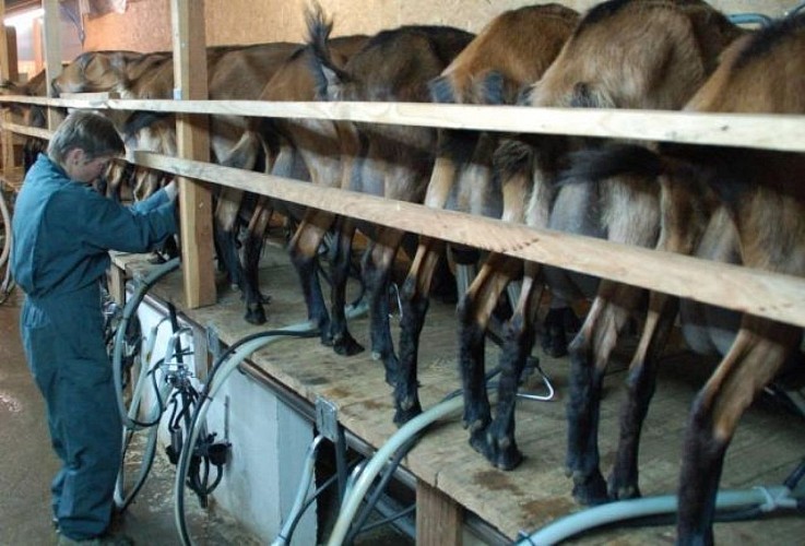 Ferme de Fantouillet