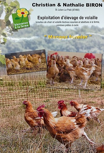 Volailles de la Ferme de Chatreix_3