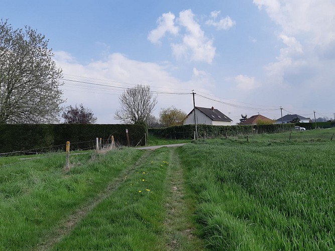 De la Bourgogne à Beaumont