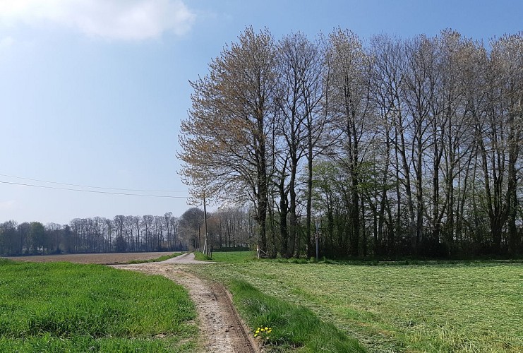 De la Bourgogne à Beaumont