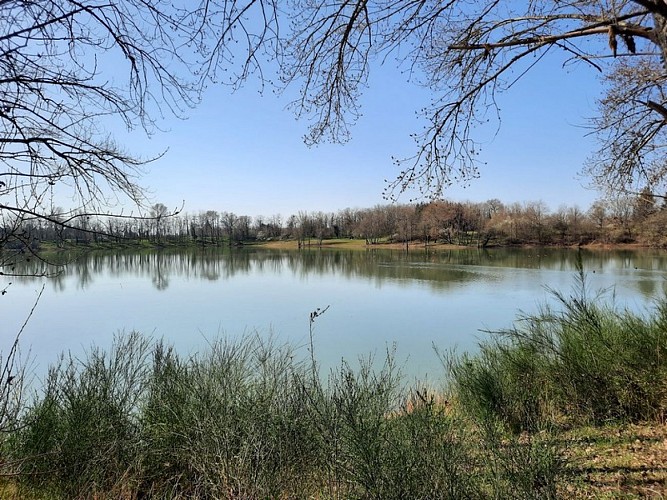 SDN-tuilerie-20220324_04©FR-OTI