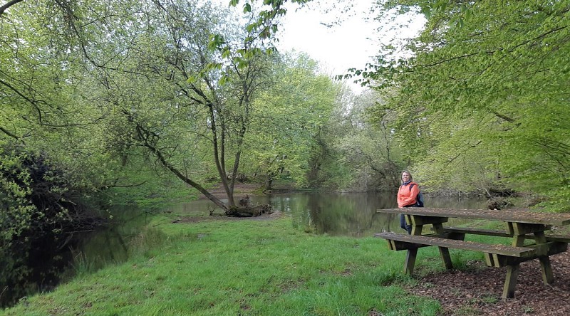 Direction le Chêne aux Fées