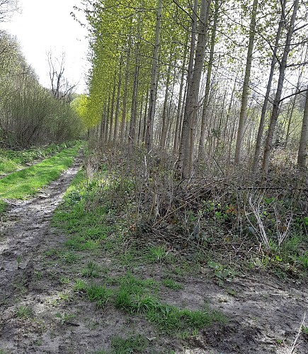 Direction le Chêne aux Fées