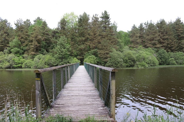 Étang de Chancelade