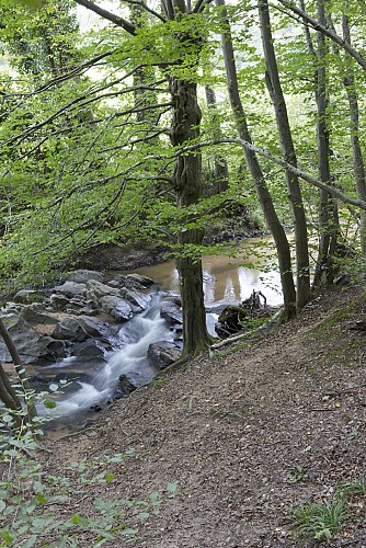 Cascade de l'Yzeron