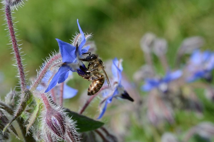 YLP_3691a_D420 copie