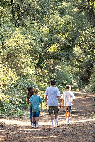 Le trésor d'olivier Levasseur, dit la buse