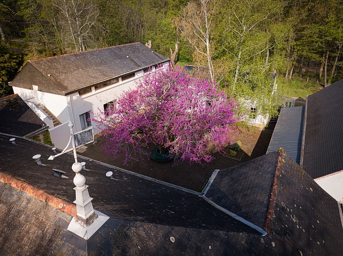 Institut Bois Robert - Location Hébergement groupe et locaux pour événements