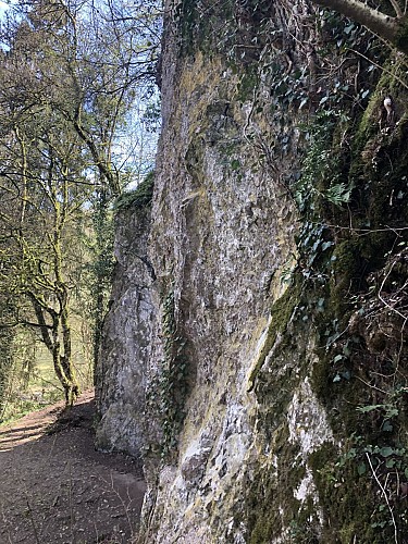 Grotte du Coléoptère