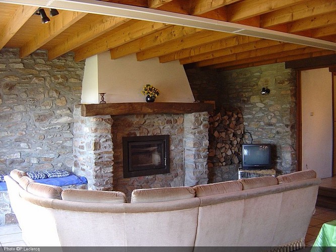 Salon - feu ouvert.JPG