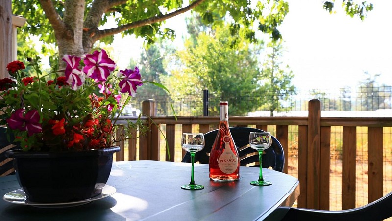 campingdesamba_a41t2028-1920x1080-1