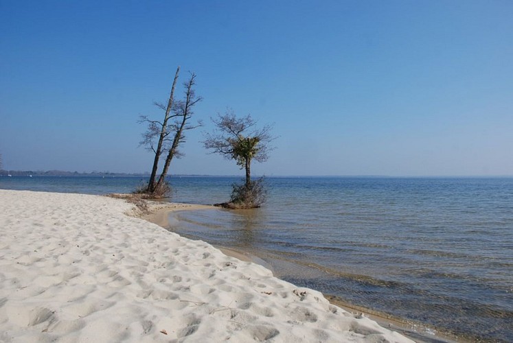 Plage de Cazaux Laouga