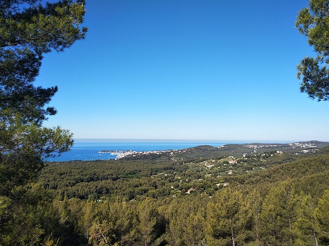 Découvrez la Provence,  à Sanary-sur-Mer.