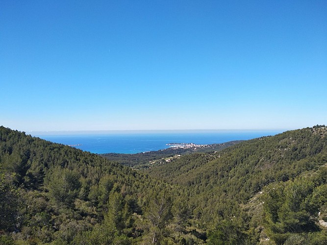 Découvrez la Provence,  à Sanary-sur-Mer.