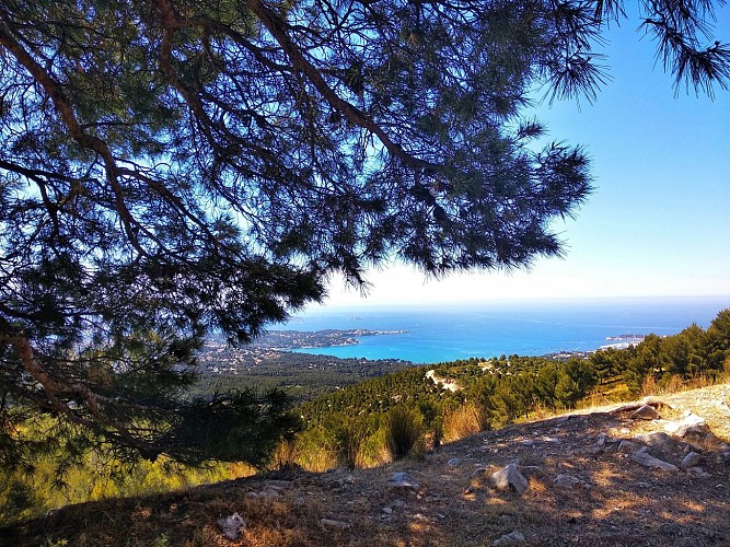 Découvrez la Provence,  à Sanary-sur-Mer.