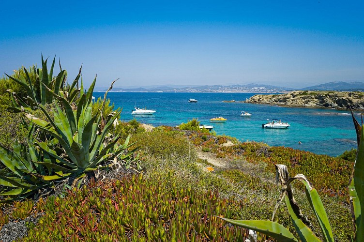 Découvrez la Provence,  à Sanary-sur-Mer.