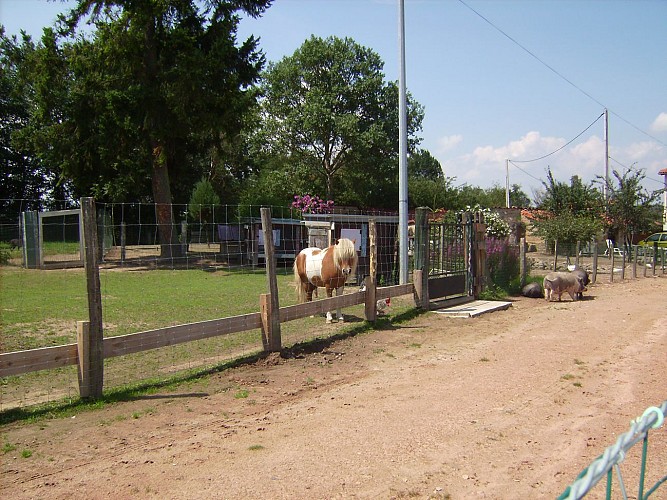 Ferme - Au Bonheur des Animaux